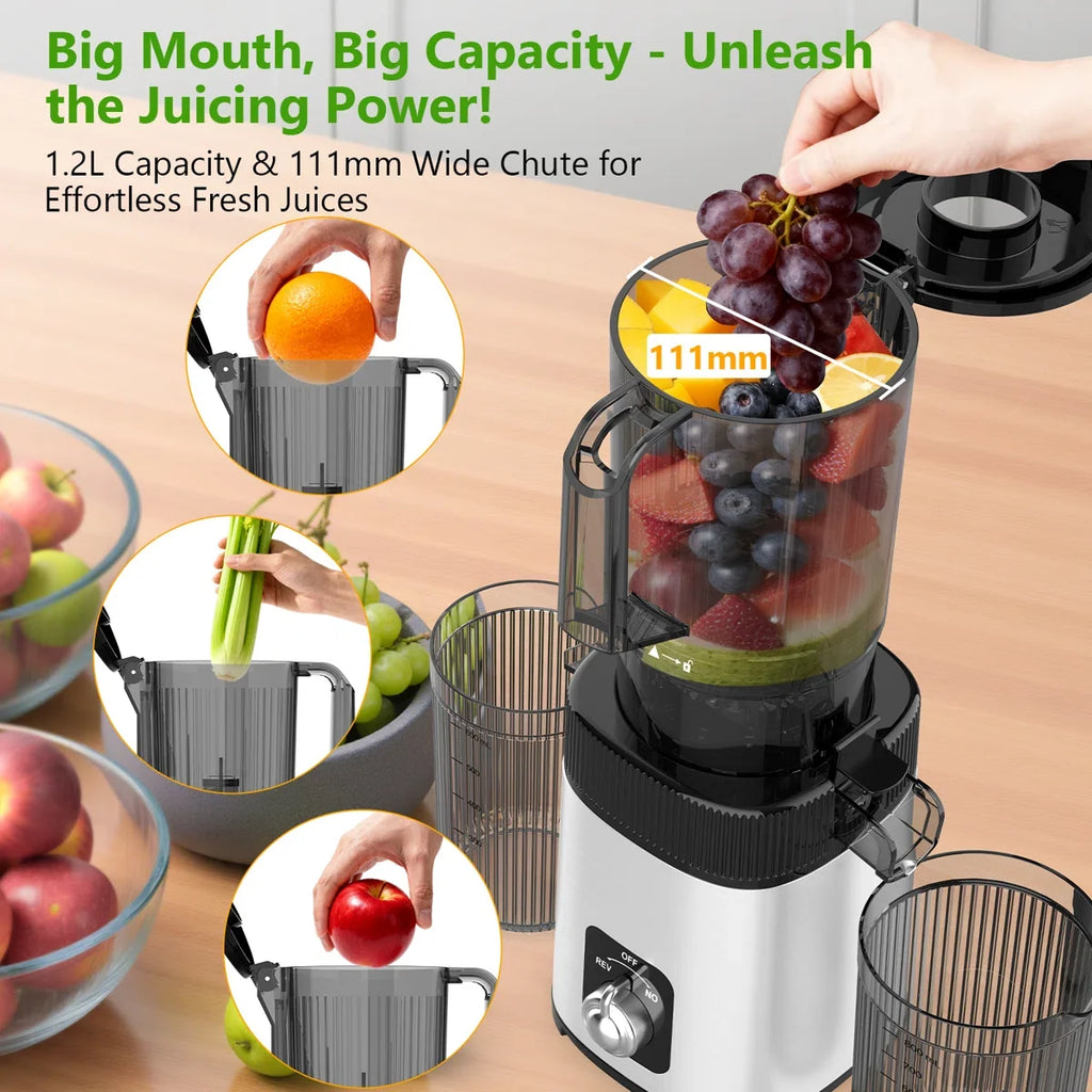 Cold Press Juicer