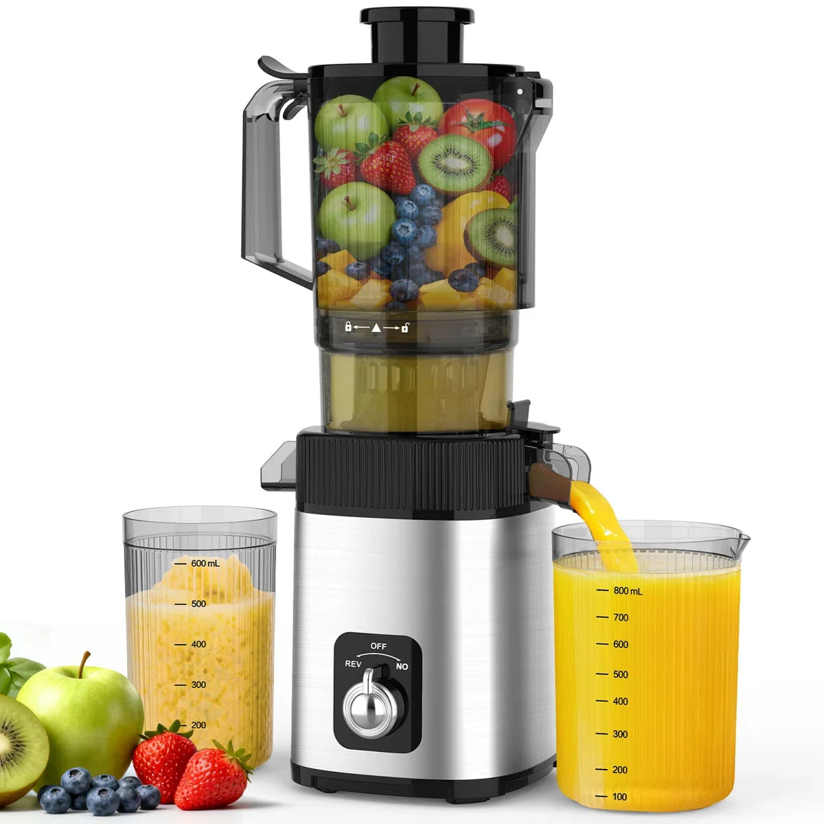 Cold Press Juicer